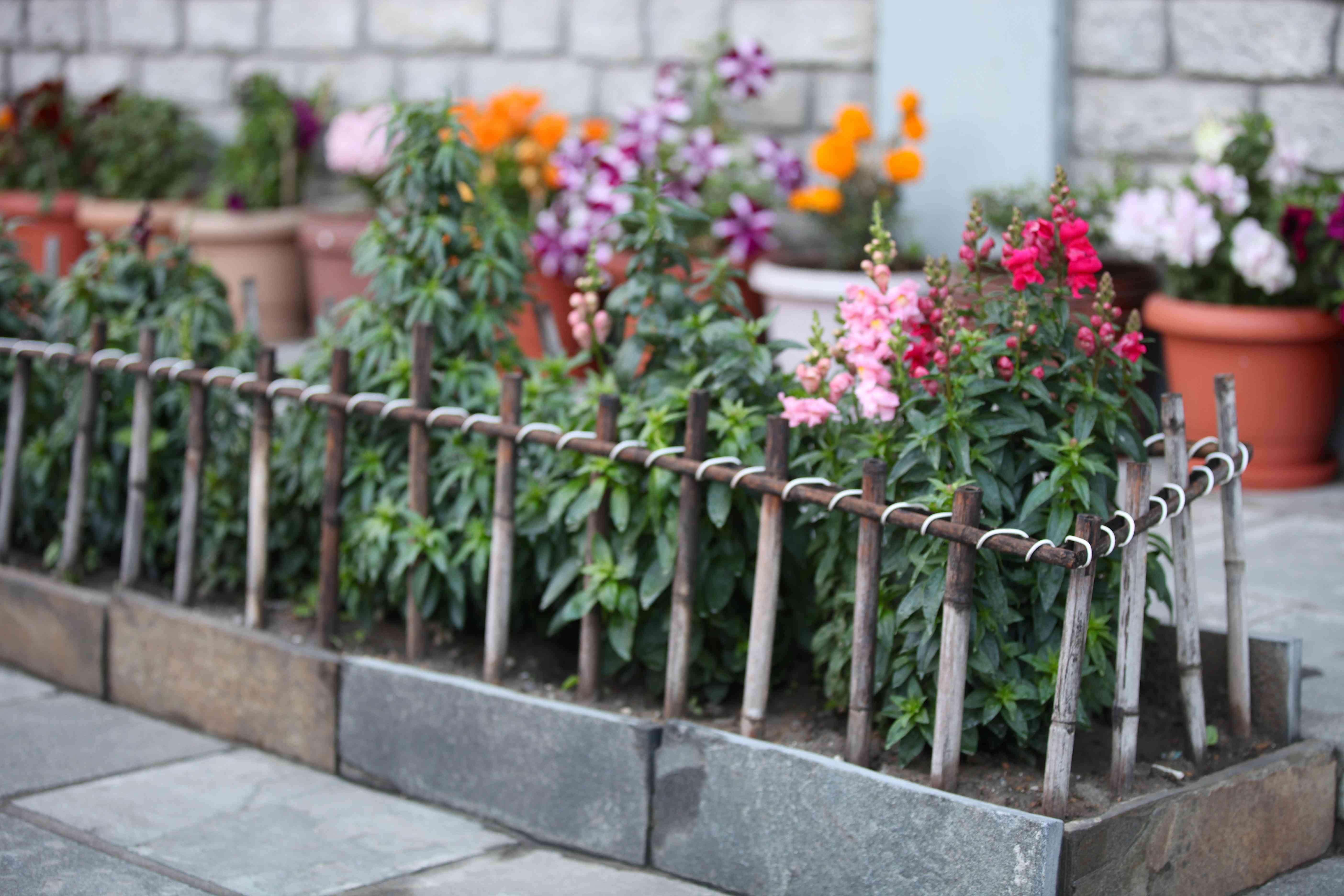 DIY Small Garden Fence