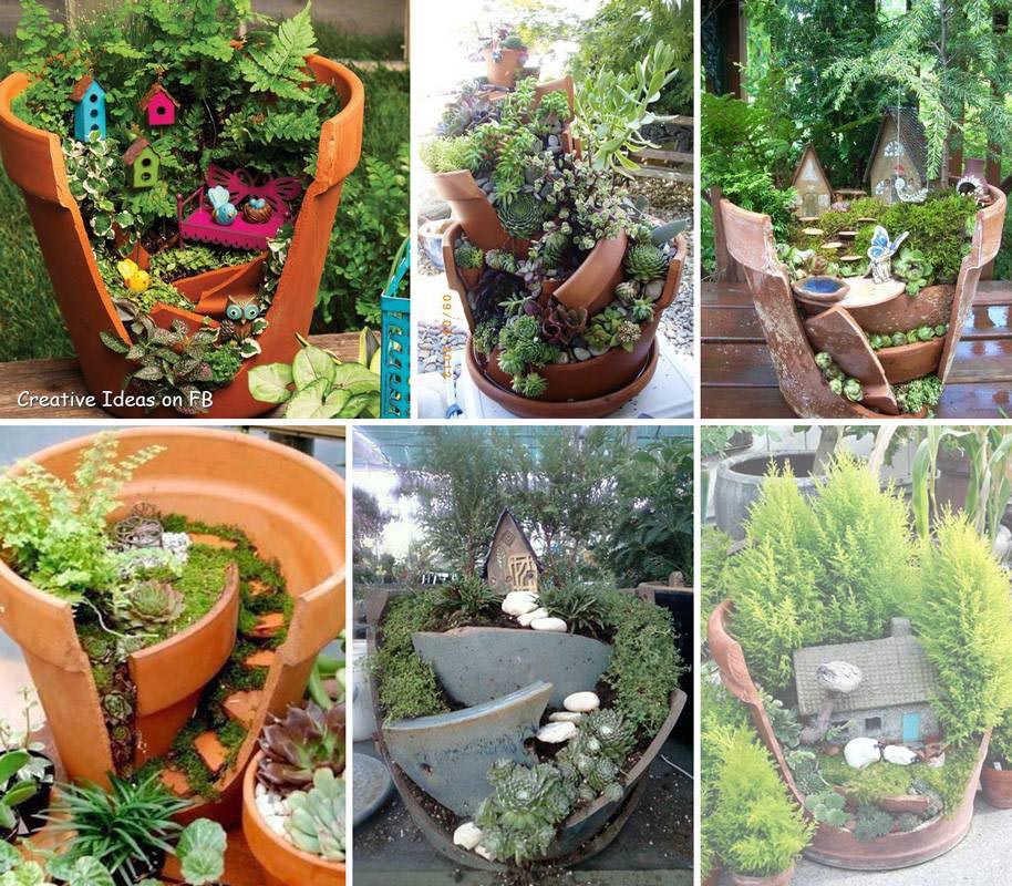 Fairy Gardens in Pots