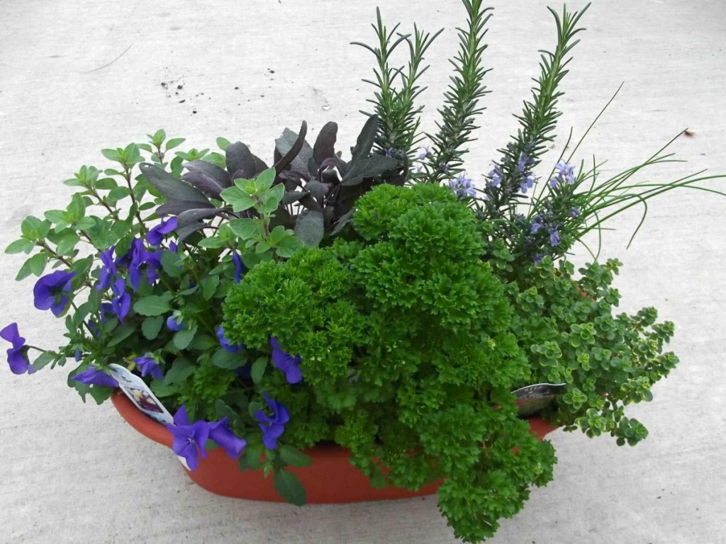 Stacked Pot Herb Garden | Garden Design Ideas