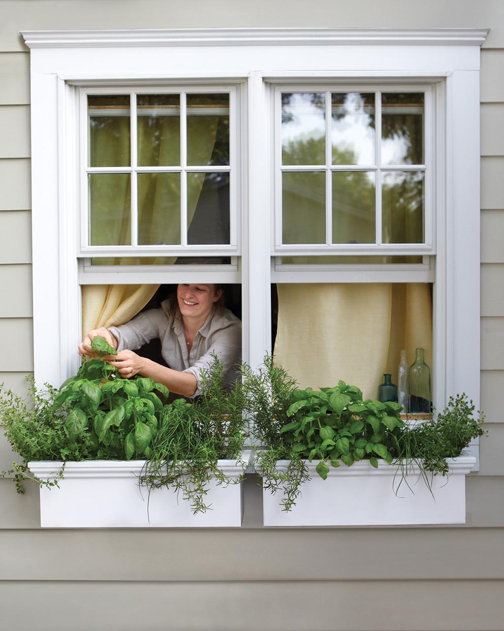 Herb Garden Window Box