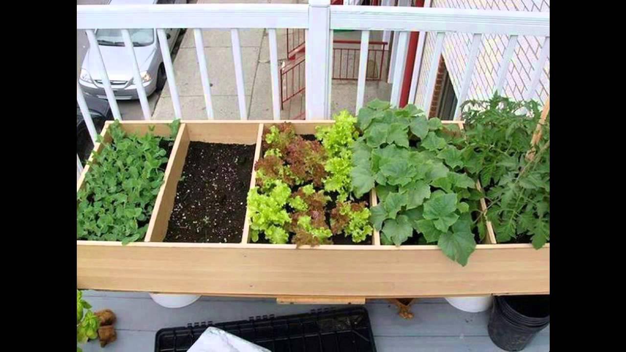 Indoor Apartment Herb Garden Garden Design Ideas