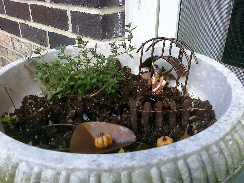 Large Containers For Fairy Gardens Garden Design Ideas