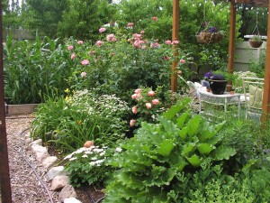 Deer Resistant Perennial Garden Plan | Garden Design Ideas