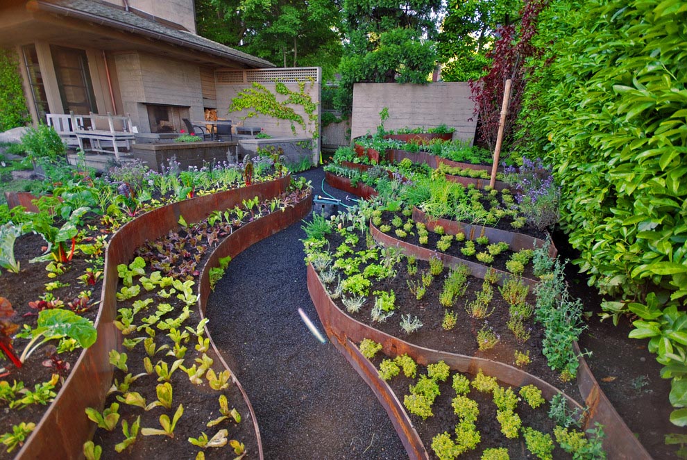 planning-a-vegetable-garden-layout-raised-beds-garden-design-ideas