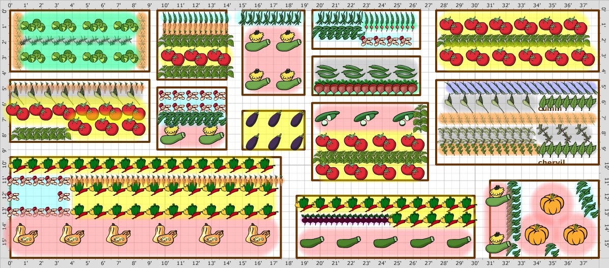 Planning Vegetable Garden Layout