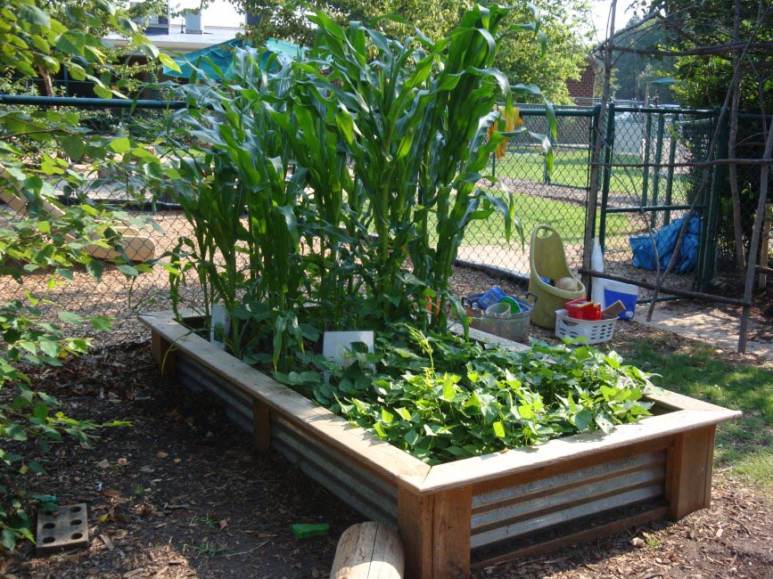 Enclosed Vegetable Garden Plans | Garden Design Ideas