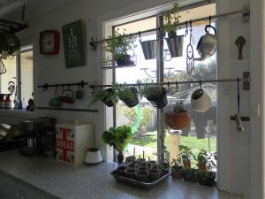 Window Hanging Herb Garden | Garden Design Ideas