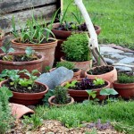 Container Gardening Vegetables Pot Size Garden Design Ideas
