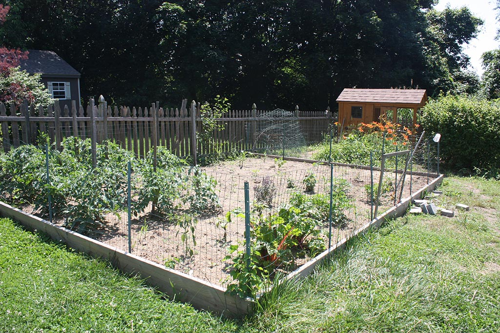 wire garden fence