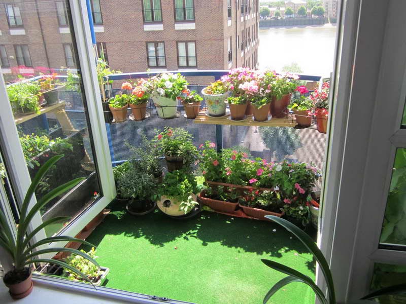 Indoor Vegetable Gardening Tips