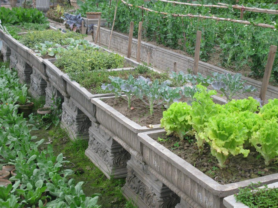 Vegetable Container Garden Planner