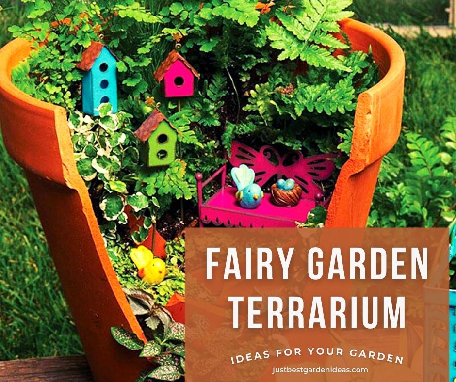 Advices about Fairy Garden Terrarium