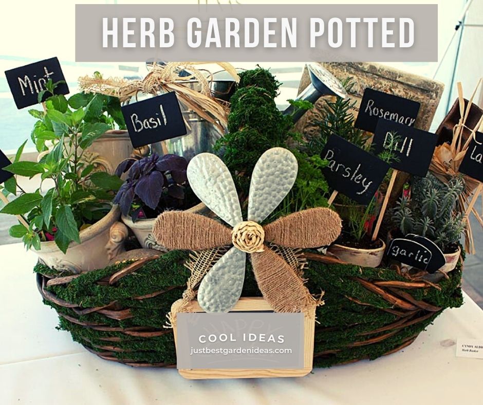 Facts About Herb Garden Potted