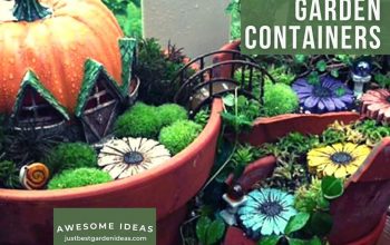 Fairy Garden Containers Why Not Try it Now