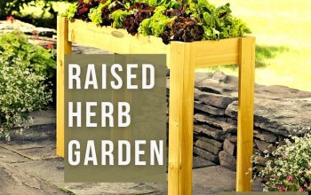 Raised Herb Garden Ideas