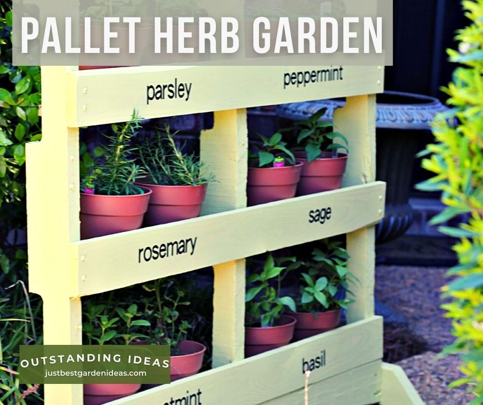 Variety of Pallet Herb Garden