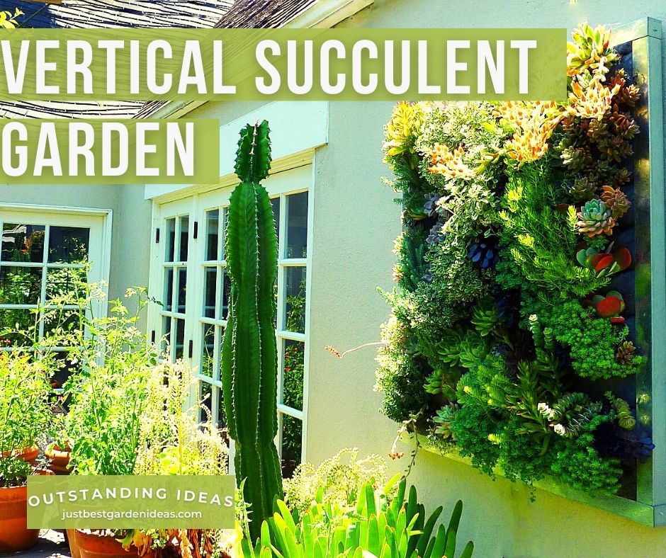 Vertical Succulent Garden Creative Idea